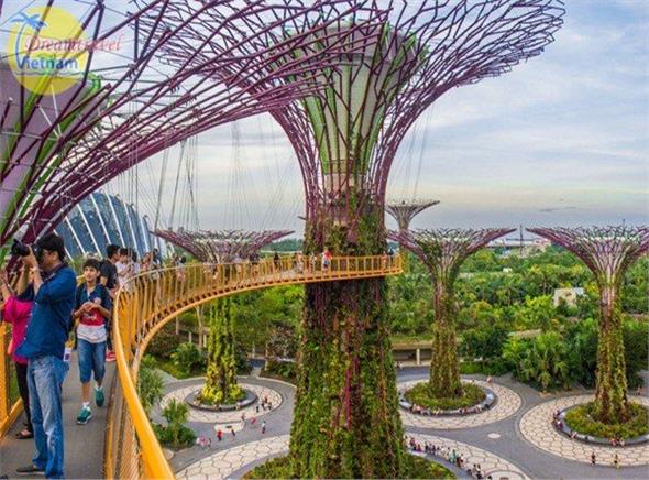 Du lịch Singapore giá rẻ từ Hà Nội (Bay Tiger Airways) Du lịch Singapore giá rẻ từ Hà Nội (Bay Tiger Airways)